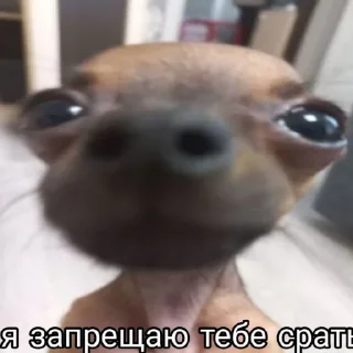 💗 emoji Бебрик Юми Telegram sticker 21 of 26