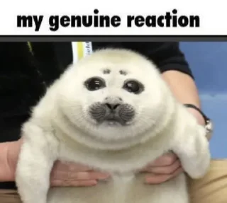 🥺 emoji penis delirious pt.1 Telegram sticker 18 of 69
