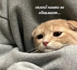 😞 emoji sweety Telegram sticker 21 of 40