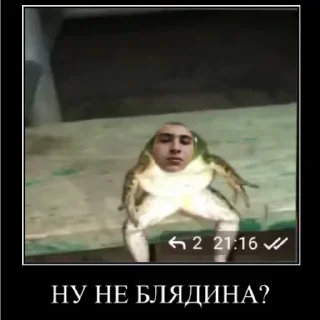 🐸 emoji жаба Telegram sticker 9 of 14