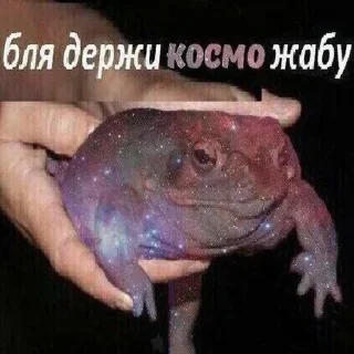 Sticker from Жаба