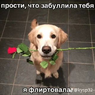 🌟 emoji смешнявки с пинтереста ⛄️ б/у エンヂアイ Telegram sticker 17 of 120