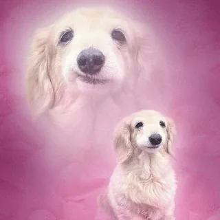 🙂 emoji животинки Telegram sticker 8 of 50