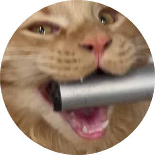 🤬 emoji ЛЁЪВИЙ Telegram sticker 16 of 28