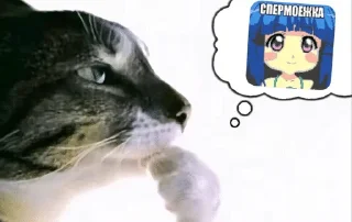 🌟 emoji цикадность жирность Telegram sticker 17 of 60