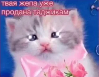 Sticker from Шиза.