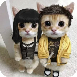 🐱 emoji Жессе Розовый чувак Telegram sticker 6 of 34