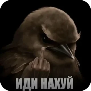✋ emoji БОЛЬШЕ ⇨ @CLOOBHUB МЕМЫ MEMES Telegram sticker 18 of 48