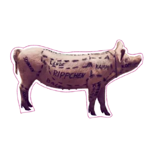 🐽 emoji ZICK ZACK by FLAMMENMEER Telegram sticker 14 of 14