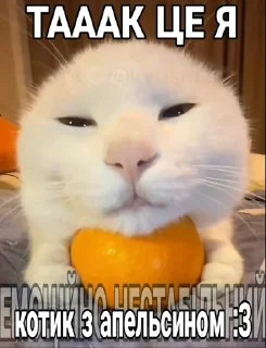 Sticker from Котярки