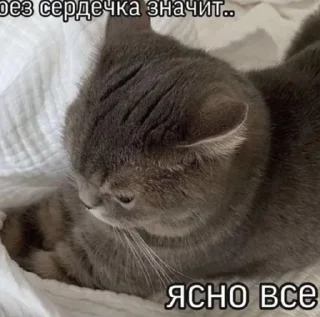 Sticker from кисёныши