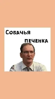 🌟 emoji Сваты от Fuks_797 Telegram sticker 21 of 28