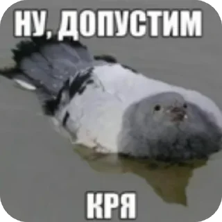 🦆 emoji ✨От Анатолия))✨ :: @kotik_nomer1 Telegram sticker 23 of 50