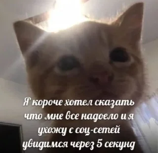 😁 emoji Смешно Telegram sticker 19 of 29