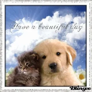 🌆 emoji От: Манюни Т. Для: любимых. Telegram sticker 21 of 90