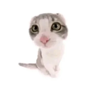 🌟 emoji ::милые стики!! Telegram sticker 15 of 47