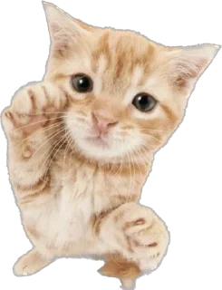 🤍 emoji ::милые стики!! Telegram sticker 23 of 47