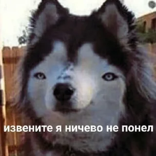 😄 emoji жизненные стики Telegram sticker 18 of 60
