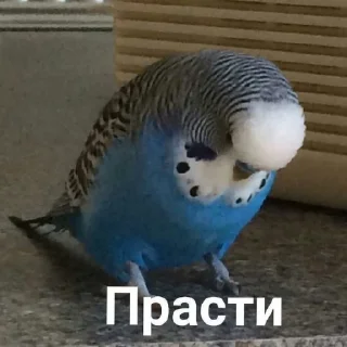 😄 emoji жизненные стики Telegram sticker 20 of 60