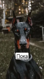 🩰 emoji Я не могу печатать) Telegram sticker 10 of 33