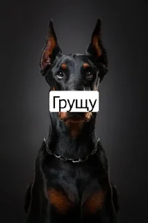 🖇 emoji Я не могу печатать) Telegram sticker 15 of 33