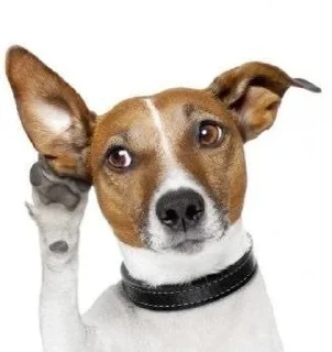 ❓ emoji собака смешная не могу Telegram sticker 21 of 120