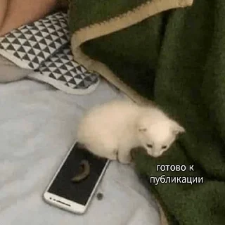 👍 emoji Мама, Я Админ | @EKorjikov_Blog Telegram sticker 17 of 48