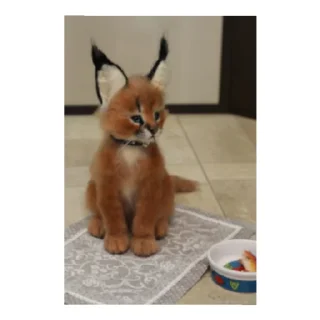😄 emoji Шлепа Telegram sticker 17 of 22