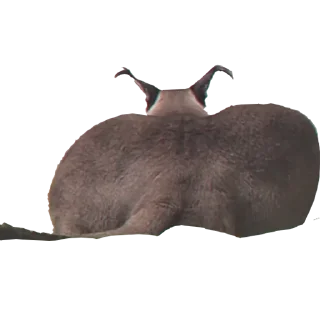 🍑 emoji Большой Шлепа Telegram sticker 7 of 25