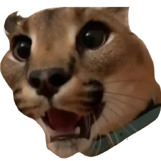 😱 emoji Большой Шлепа Telegram sticker 5 of 25
