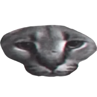 Sticker from Большой Шлепа @trafslybot