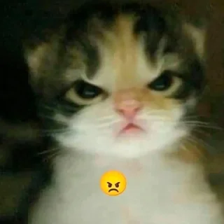 🤬 emoji sillies Telegram sticker 20 of 37