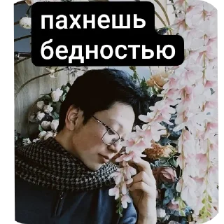 ✋ emoji Стикеры фей ташкеньа Telegram sticker 5 of 12