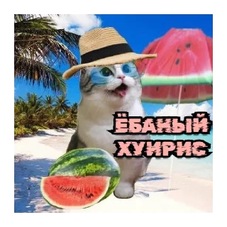 😡 emoji Комары #1 Telegram sticker 19 of 36
