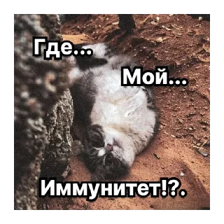 👿 emoji Комары #1 Telegram sticker 5 of 36