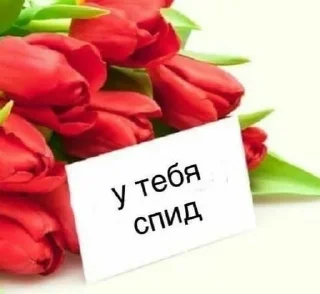 🐇 emoji вау, я ничтожество!😍 Telegram sticker 18 of 40