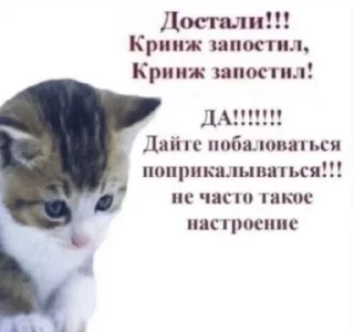 🐇 emoji вау, я ничтожество!😍 Telegram sticker 5 of 40