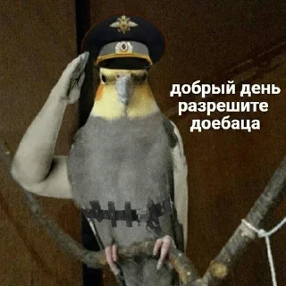 🫡 emoji Мемчанские для души Telegram sticker 12 of 119