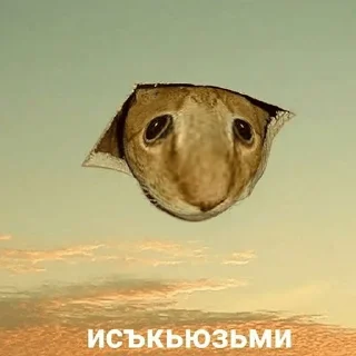 ❓ emoji Мемчанские для души Telegram sticker 13 of 119