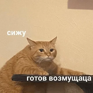 😑 emoji Мемчанские для души Telegram sticker 6 of 119