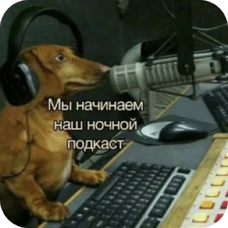 🐦 emoji Мемчанские для души Telegram sticker 24 of 119