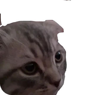 🫥 emoji Кит Telegram sticker 12 of 29