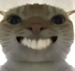 😄 emoji Кто прочел тот поляк Telegram sticker 6 of 38