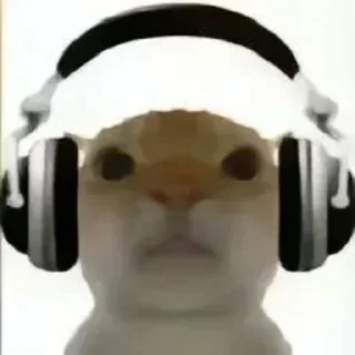 🪑 emoji Кто прочел тот поляк Telegram sticker 11 of 38