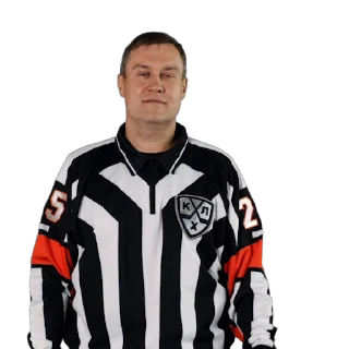 👎 emoji KHL Refs @khl_official_telegram Telegram sticker 16 of 33