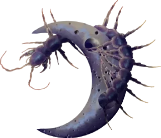 🌙 emoji 𝚂𝙲𝙾𝙻𝙾𝙿𝙴𝙽𝙳𝚁𝙰 ˢᵗᶤᶜᵏᵉʳˢ Telegram sticker 6 of 12