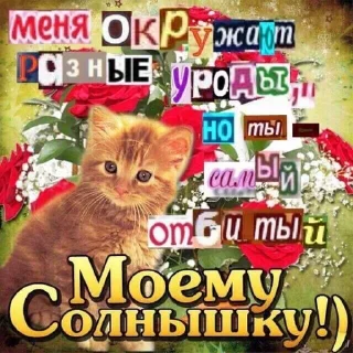 🌟 emoji vsratipozdravlenya Telegram sticker 12 of 73