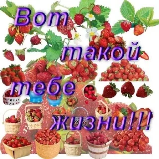 🌟 emoji vsratipozdravlenya Telegram sticker 16 of 73