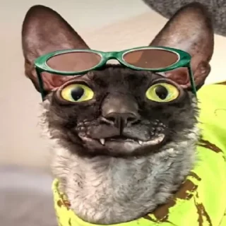😼 emoji Ебейший стикер пак Telegram sticker 8 of 30