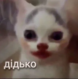 Sticker from стіки державною